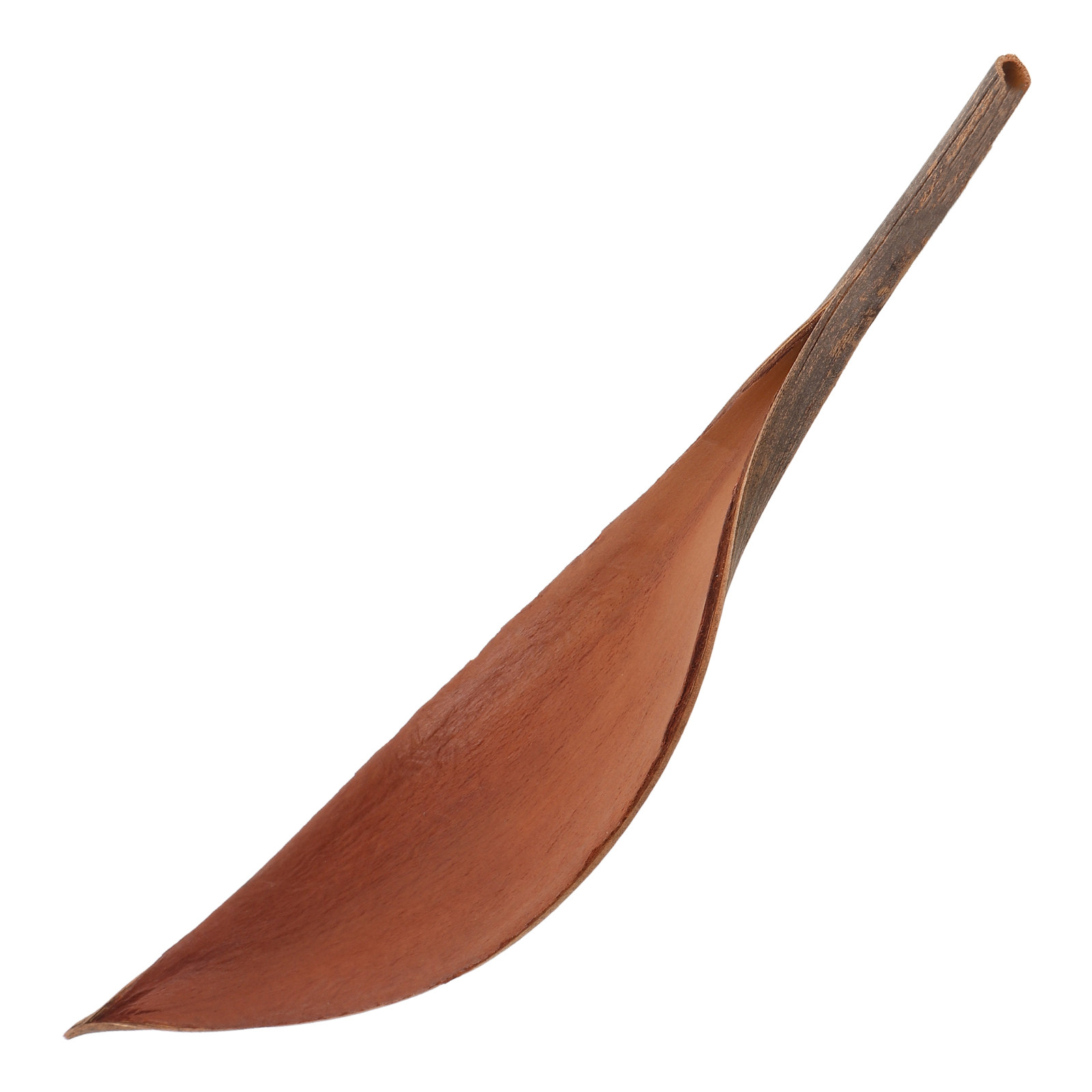 Art Craft Leaves - Adorno de Hoja de Madera Realista