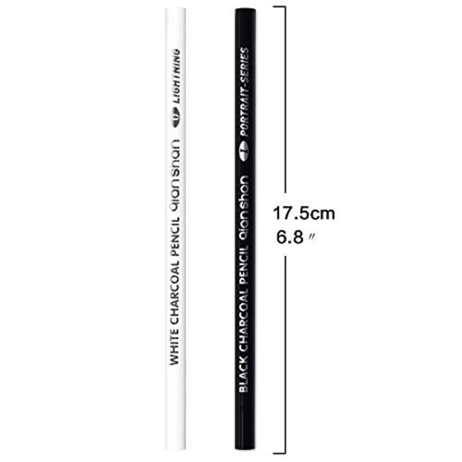 2 Lápices de Carbón de Color B - Colored Pencil Professional reseña y precio